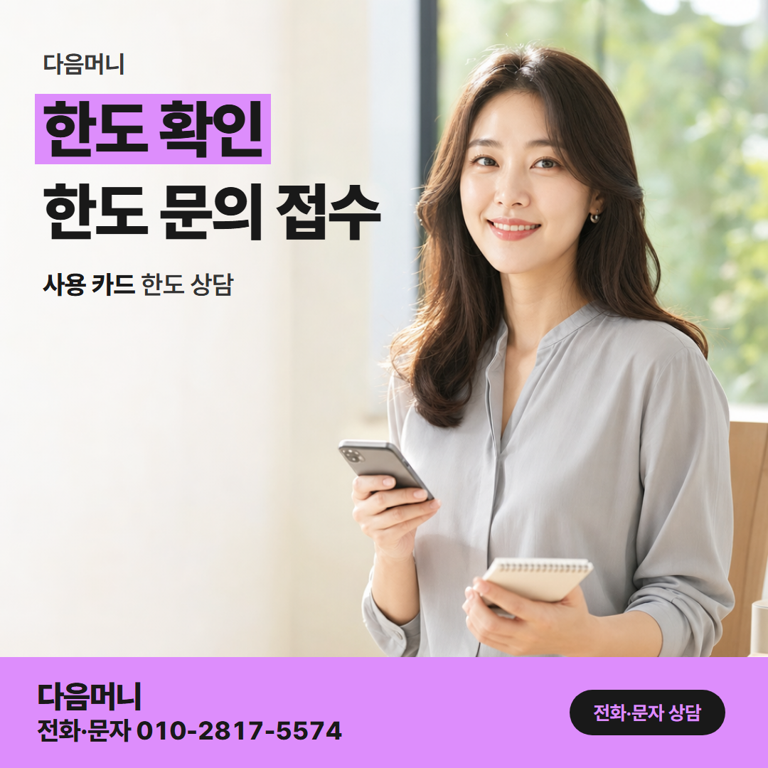 다음머니 대전카드깡 다음 달 결제까지 보는 조회